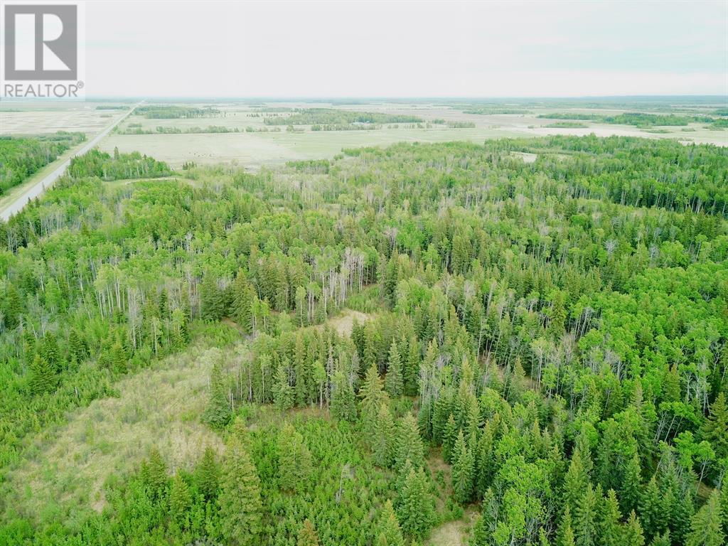 Nw-19-81-9-W6 Highway 681, Rural Saddle Hills County, Alberta  T0H 3V0 - Photo 13 - A2024005