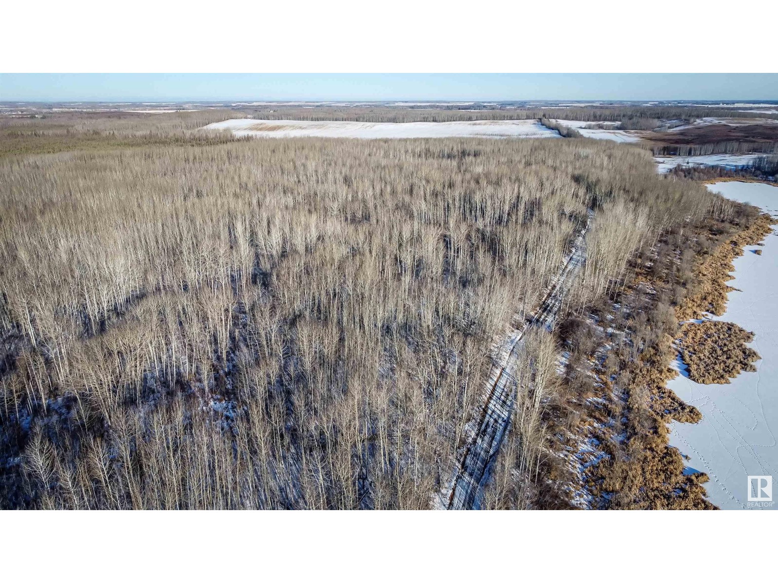 W5th: R6: T59 S22 Se, Rural Barrhead County, Alberta  T7N 1N3 - Photo 16 - E4371766