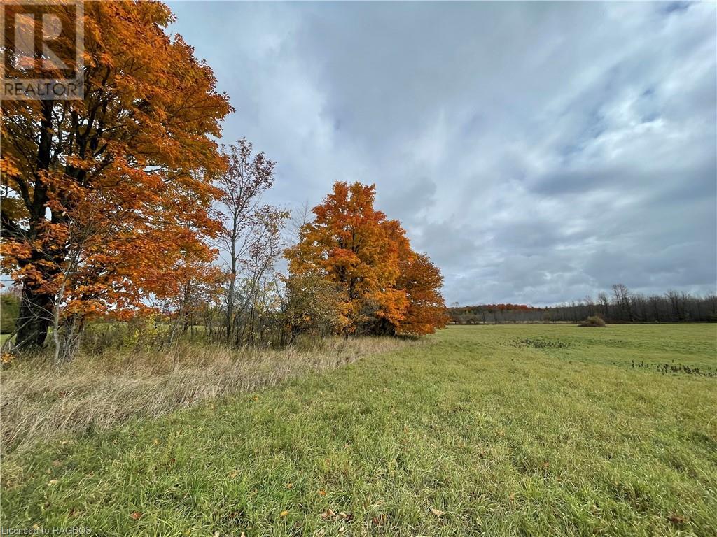 Pt Lt 2-3 Sutter Road, Northern Bruce Peninsula, Ontario  N0H 2T0 - Photo 17 - 40537319