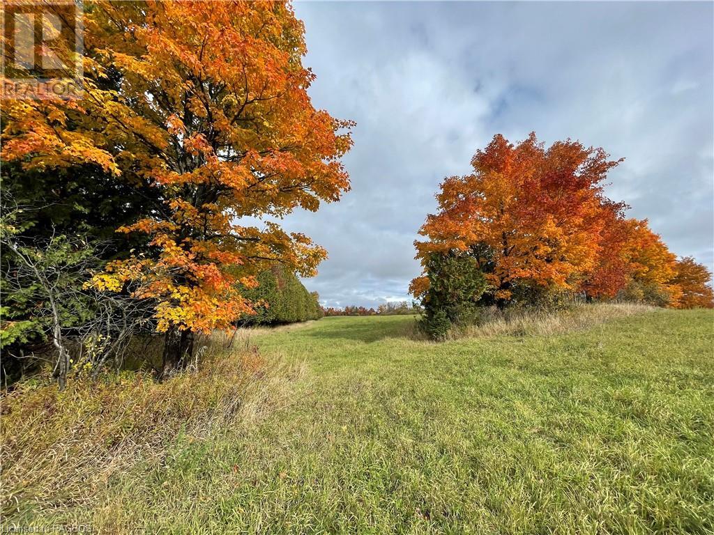 Pt Lt 2-3 Sutter Road, Northern Bruce Peninsula, Ontario  N0H 2T0 - Photo 19 - 40537319