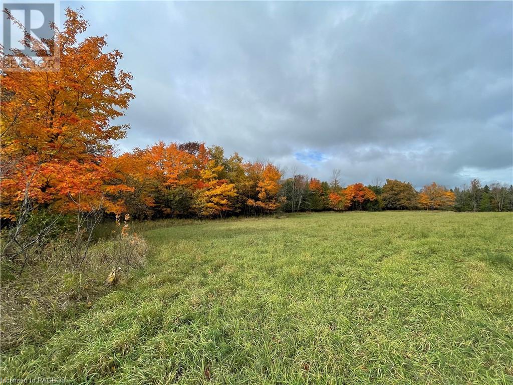 Pt Lt 2-3 Sutter Road, Northern Bruce Peninsula, Ontario  N0H 2T0 - Photo 26 - 40537319