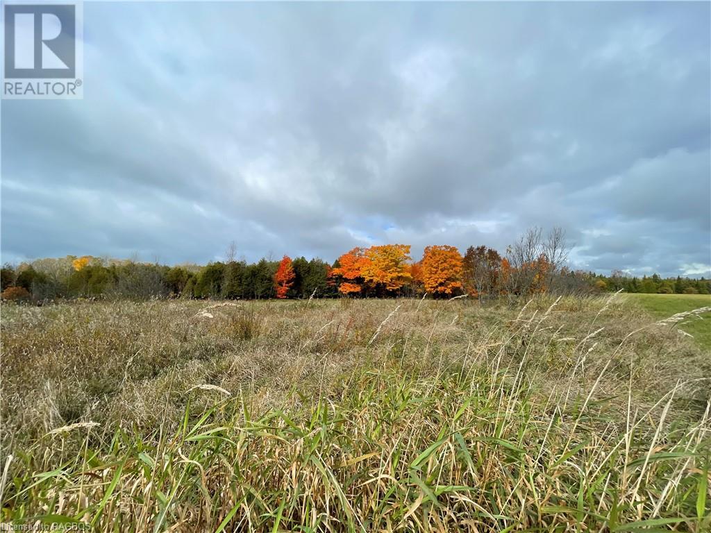 Pt Lt 2-3 Sutter Road, Northern Bruce Peninsula, Ontario  N0H 2T0 - Photo 32 - 40537319