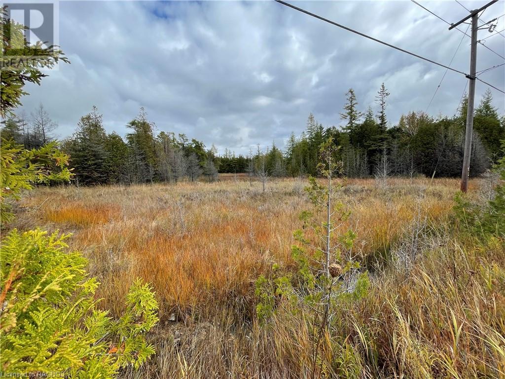 Pt Lt 2-3 Sutter Road, Northern Bruce Peninsula, Ontario  N0H 2T0 - Photo 38 - 40537319