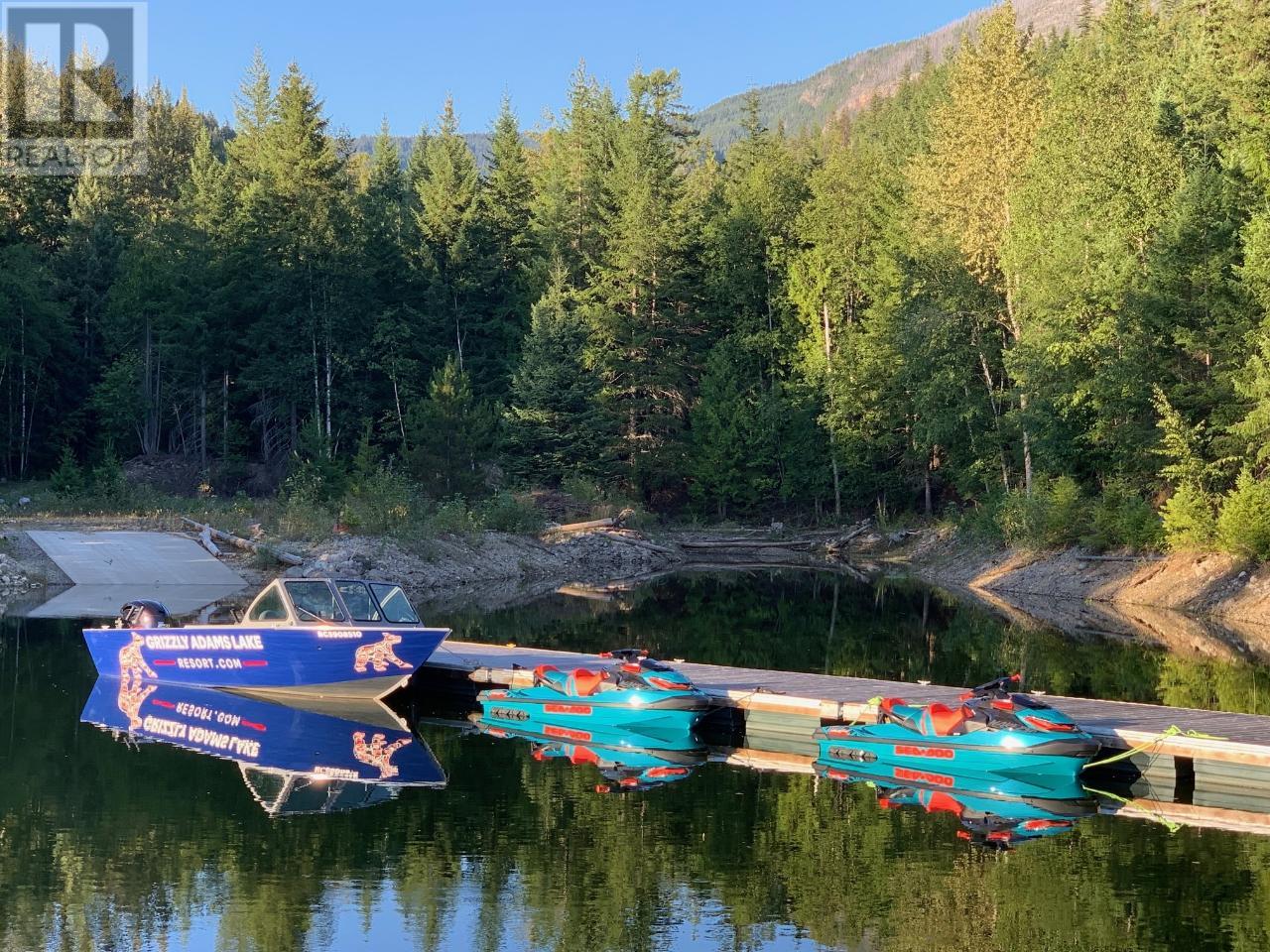 10045 Adams Lake Fsr Rd N, Adams Lake, British Columbia  V0E 1M0 - Photo 86 - 176574