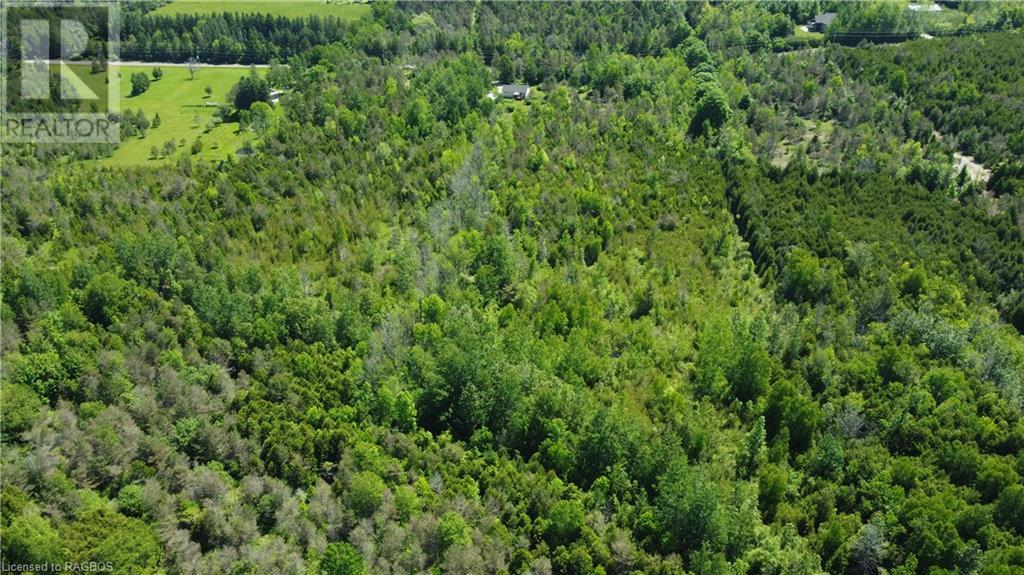 697 Elsinore Road, South Bruce Peninsula, Ontario  N0H 1A0 - Photo 9 - 40534781