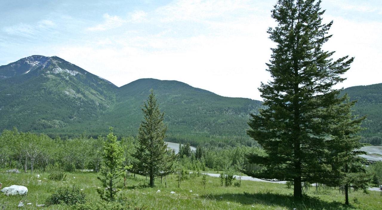 Lot 13 Silver Springs Crossing, Elko, British Columbia  V0B 2J0 - Photo 1 - 2474818