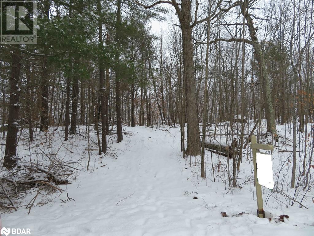 460 Musquash Road, Gravenhurst, Ontario  P1P 1R2 - Photo 13 - 40537598