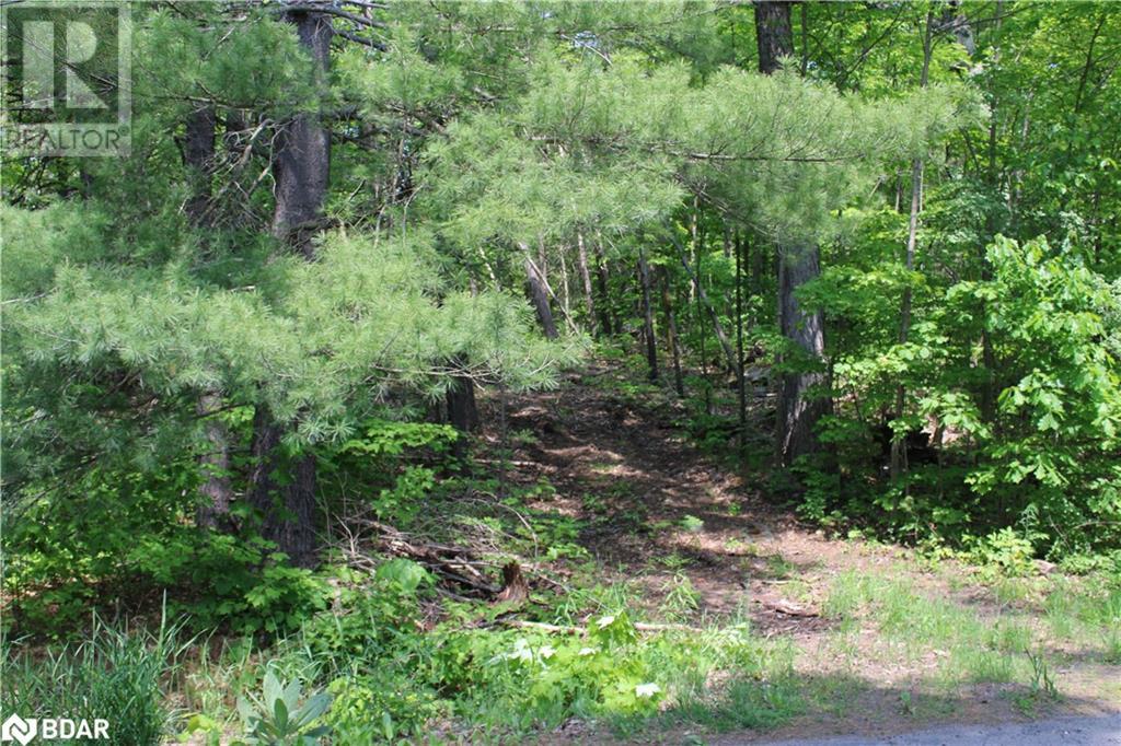 460 Musquash Road, Gravenhurst, Ontario  P1P 1R2 - Photo 21 - 40537598