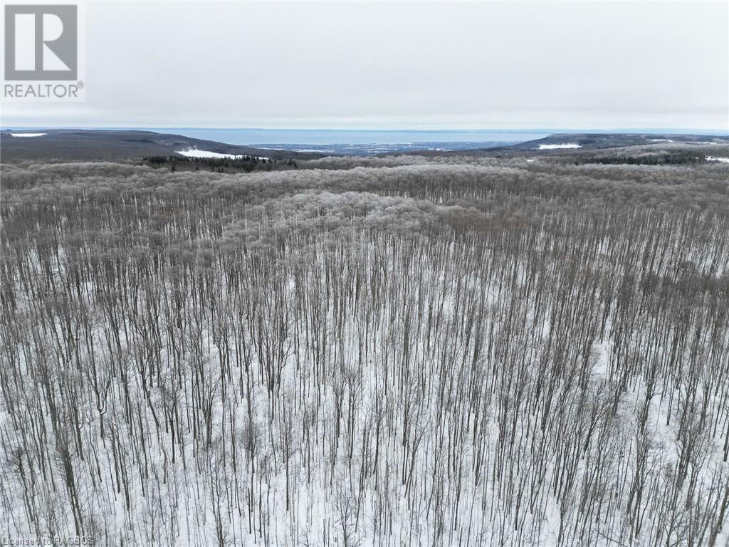 Pt Lt 8 4th Line, Town Of Blue Mountains, Ontario  N0H 2E0 - Photo 3 - 40533535
