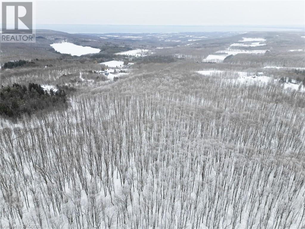Pt Lt 8 4th Line, Town Of Blue Mountains, Ontario  N0H 2E0 - Photo 6 - 40533535