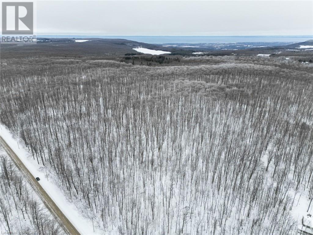 Pt Lt 8 4th Line, Town Of Blue Mountains, Ontario  N0H 2E0 - Photo 2 - 40533534