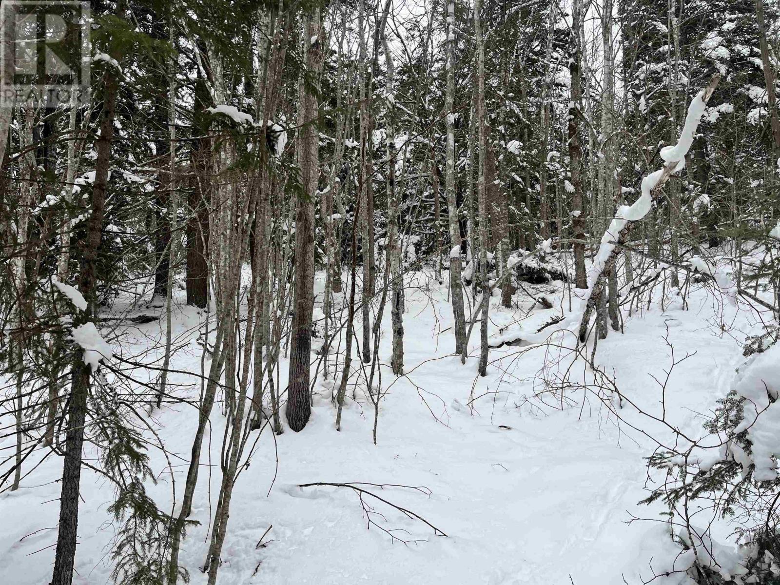 Lot M-1 Woodville Road, Greenhill, Nova Scotia  B0N 2A0 - Photo 1 - 202402236