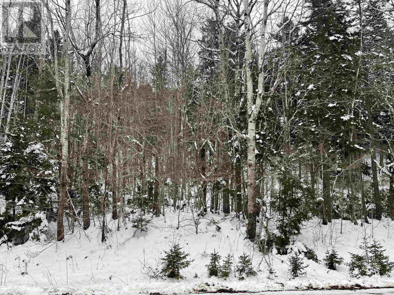 Lot M-1 Woodville Road, Greenhill, Nova Scotia  B0N 2A0 - Photo 10 - 202402236