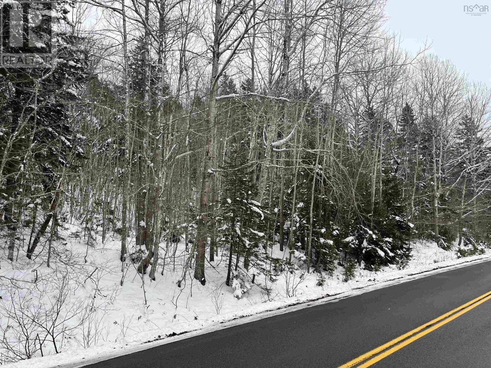 Lot M-1 Woodville Road, Greenhill, Nova Scotia  B0N 2A0 - Photo 11 - 202402236