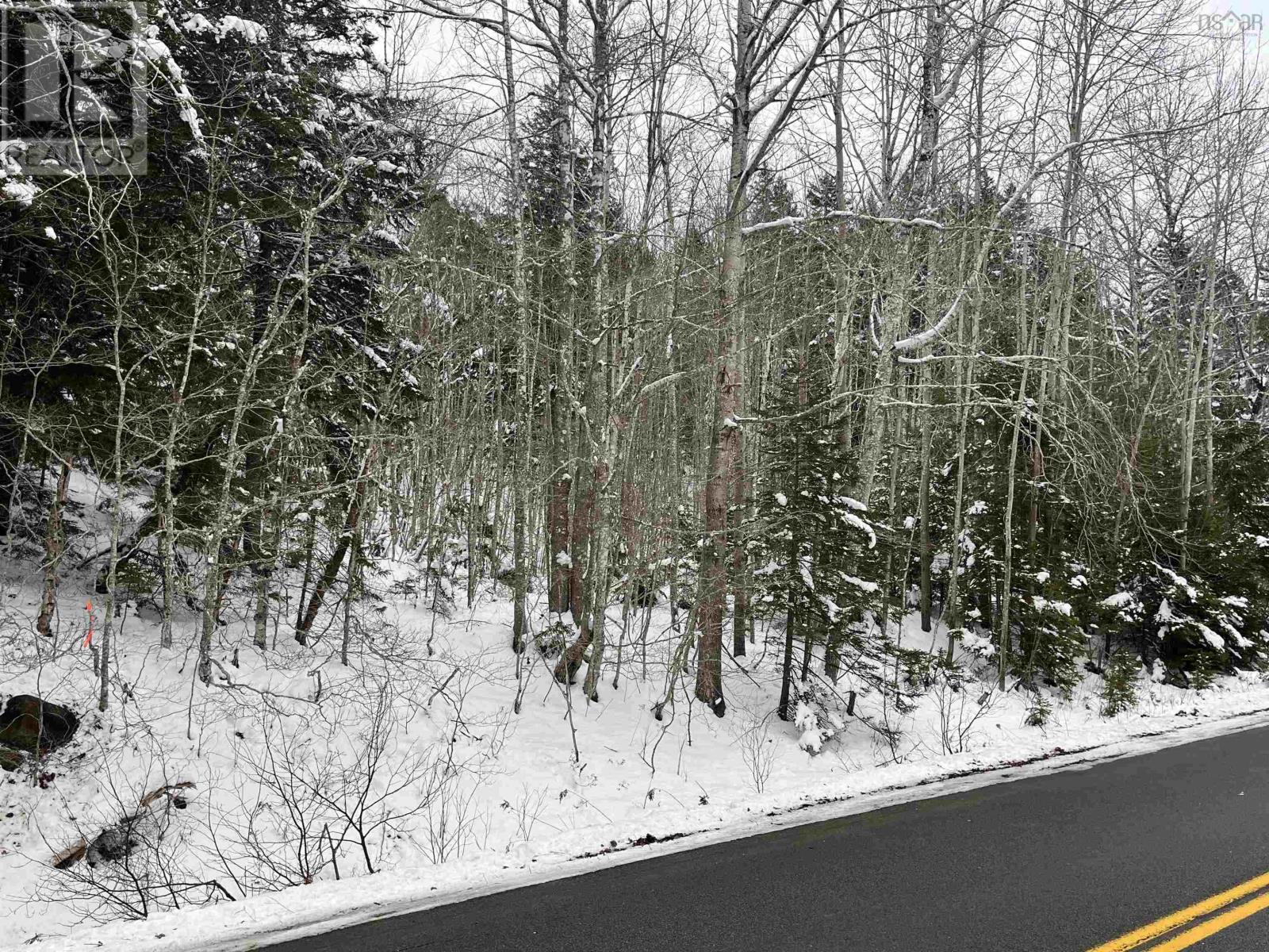 Lot M-1 Woodville Road, Greenhill, Nova Scotia  B0N 2A0 - Photo 12 - 202402236