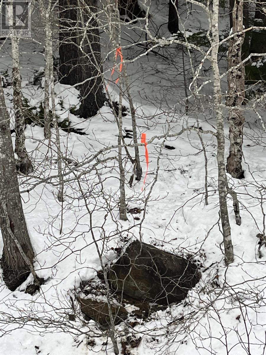 Lot M-1 Woodville Road, Greenhill, Nova Scotia  B0N 2A0 - Photo 13 - 202402236