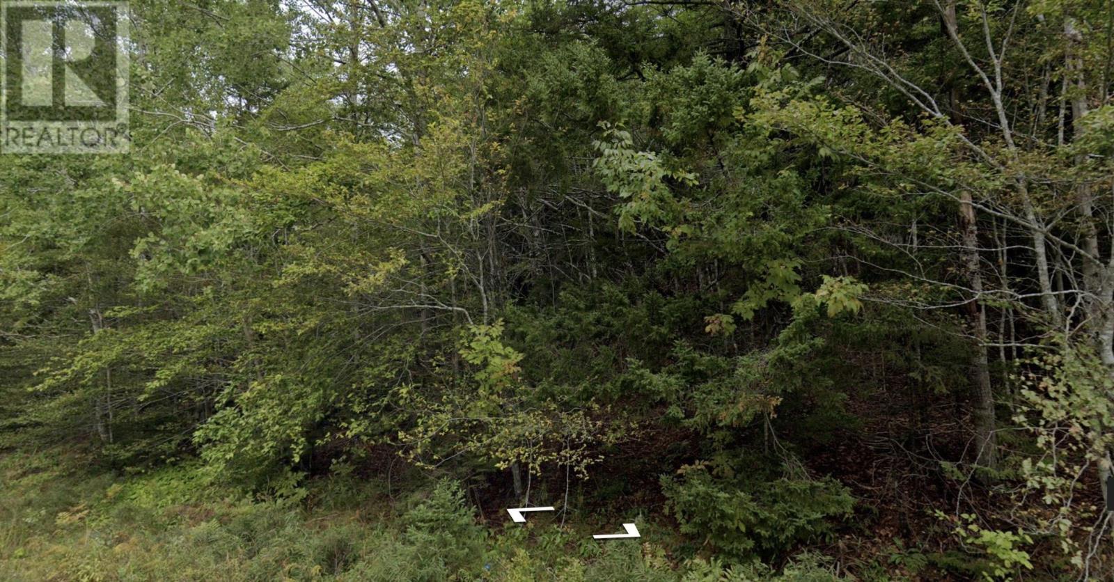 Lot M-1 Woodville Road, Greenhill, Nova Scotia  B0N 2A0 - Photo 15 - 202402236