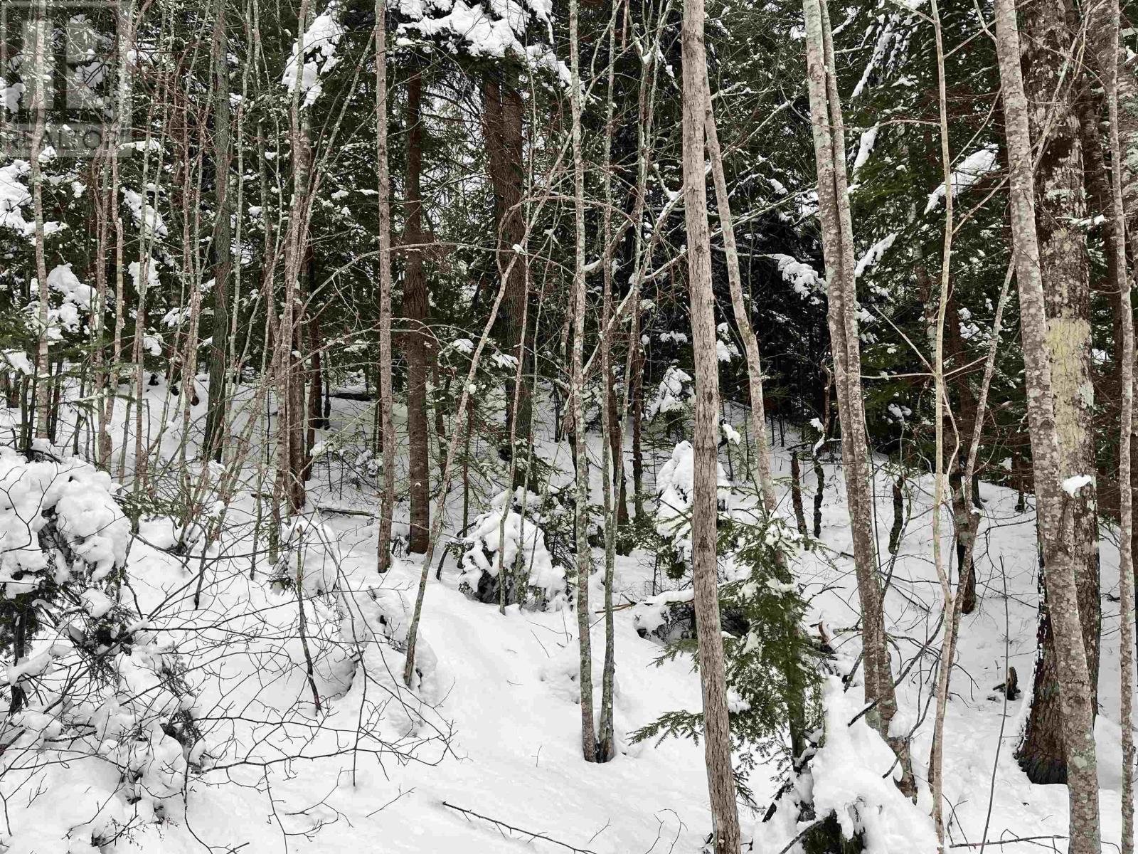 Lot M-1 Woodville Road, Greenhill, Nova Scotia  B0N 2A0 - Photo 2 - 202402236