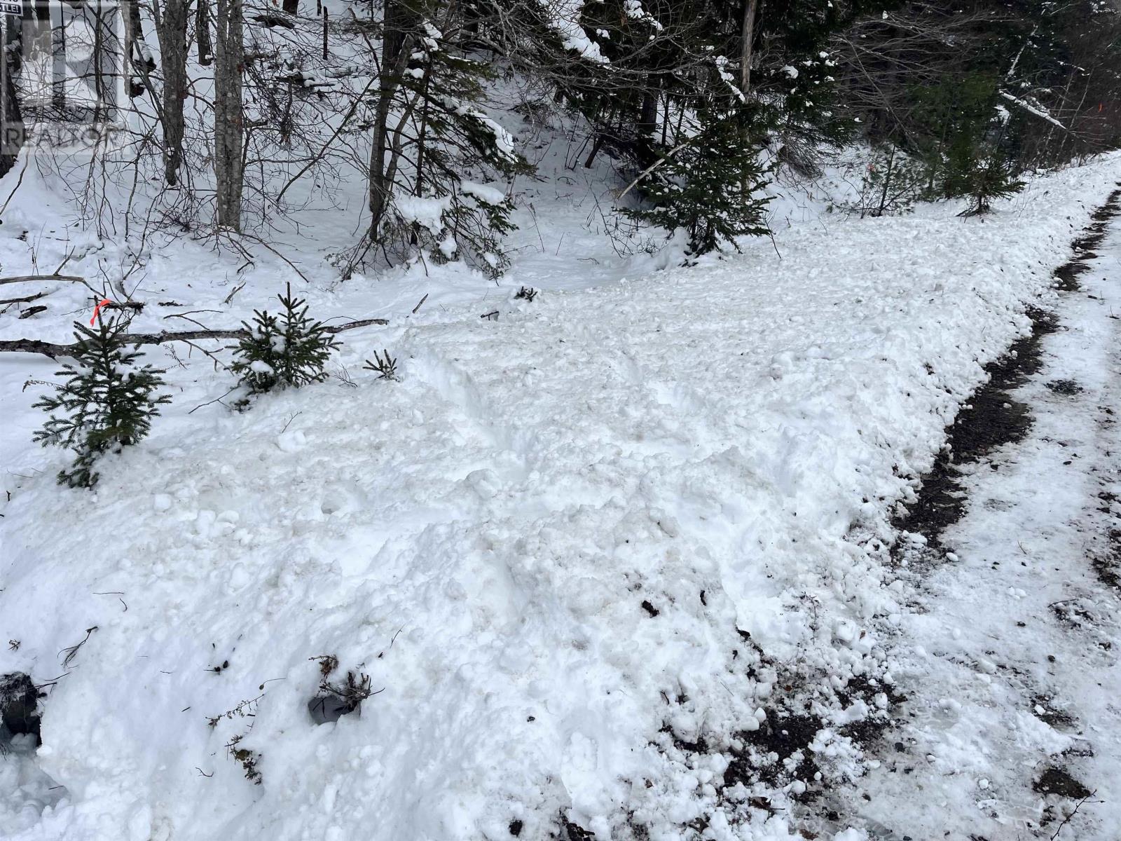 Lot M-1 Woodville Road, Greenhill, Nova Scotia  B0N 2A0 - Photo 4 - 202402236