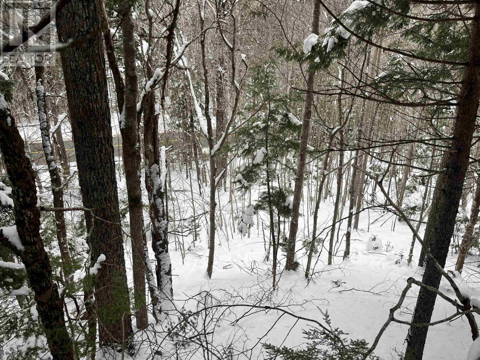 Lot M-1 Woodville Road, Greenhill, Nova Scotia  B0N 2A0 - Photo 5 - 202402236