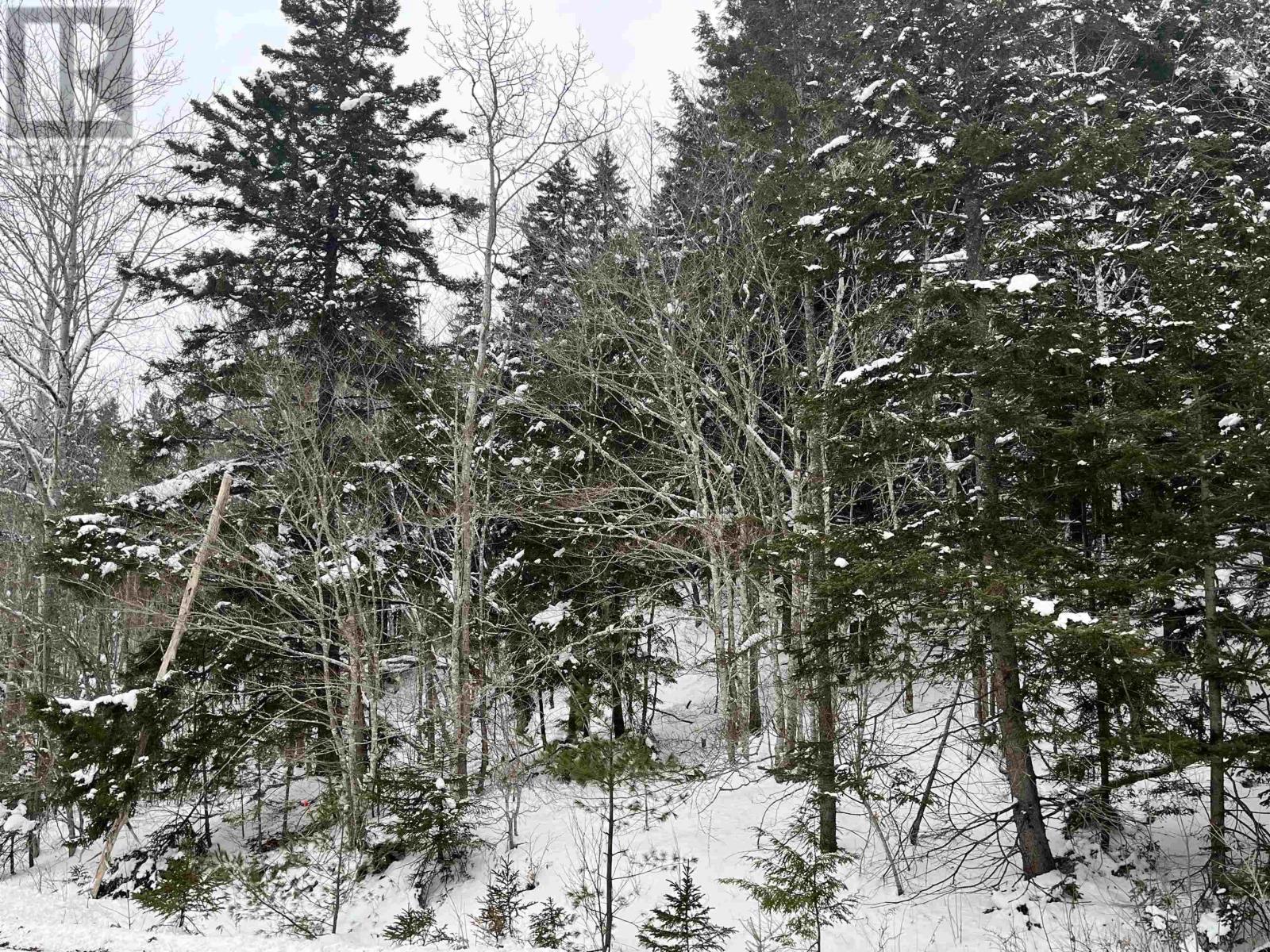 Lot M-1 Woodville Road, Greenhill, Nova Scotia  B0N 2A0 - Photo 6 - 202402236