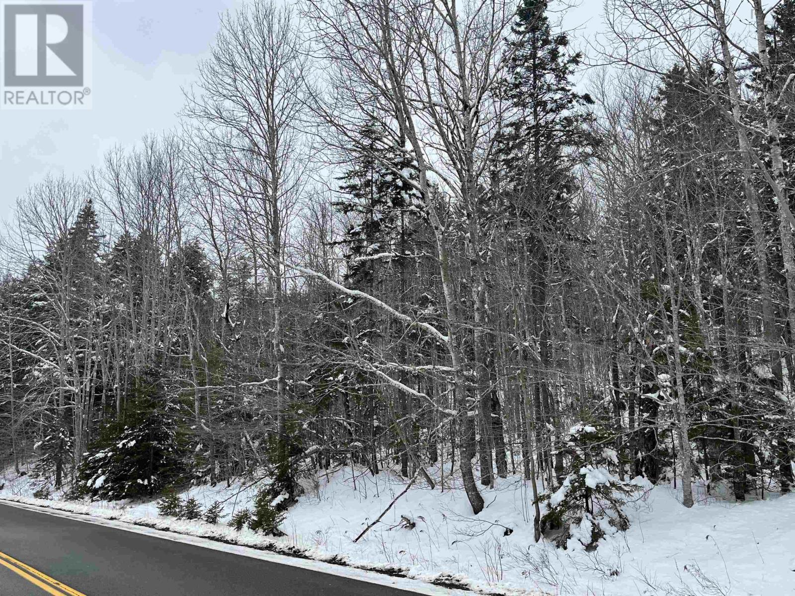 Lot M-1 Woodville Road, Greenhill, Nova Scotia  B0N 2A0 - Photo 7 - 202402236