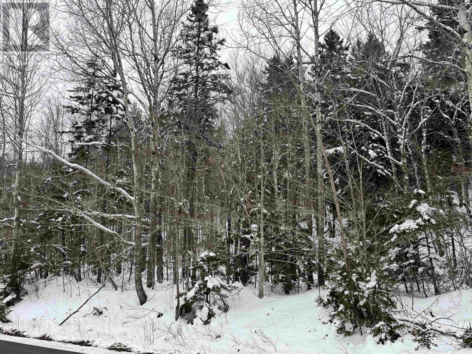 Lot M-1 Woodville Road, Greenhill, Nova Scotia  B0N 2A0 - Photo 8 - 202402236