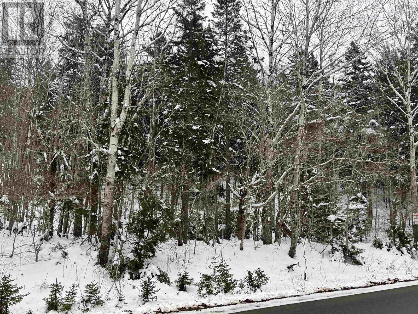 Lot M-1 Woodville Road, Greenhill, Nova Scotia  B0N 2A0 - Photo 9 - 202402236