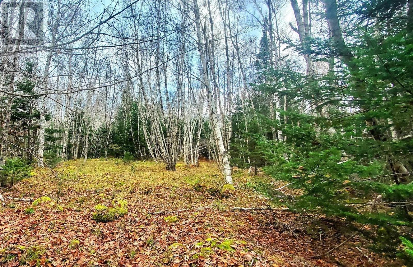 Lot Cornwall Road, Upper New Cornwall, Nova Scotia  B0J 2E0 - Photo 7 - 202402241