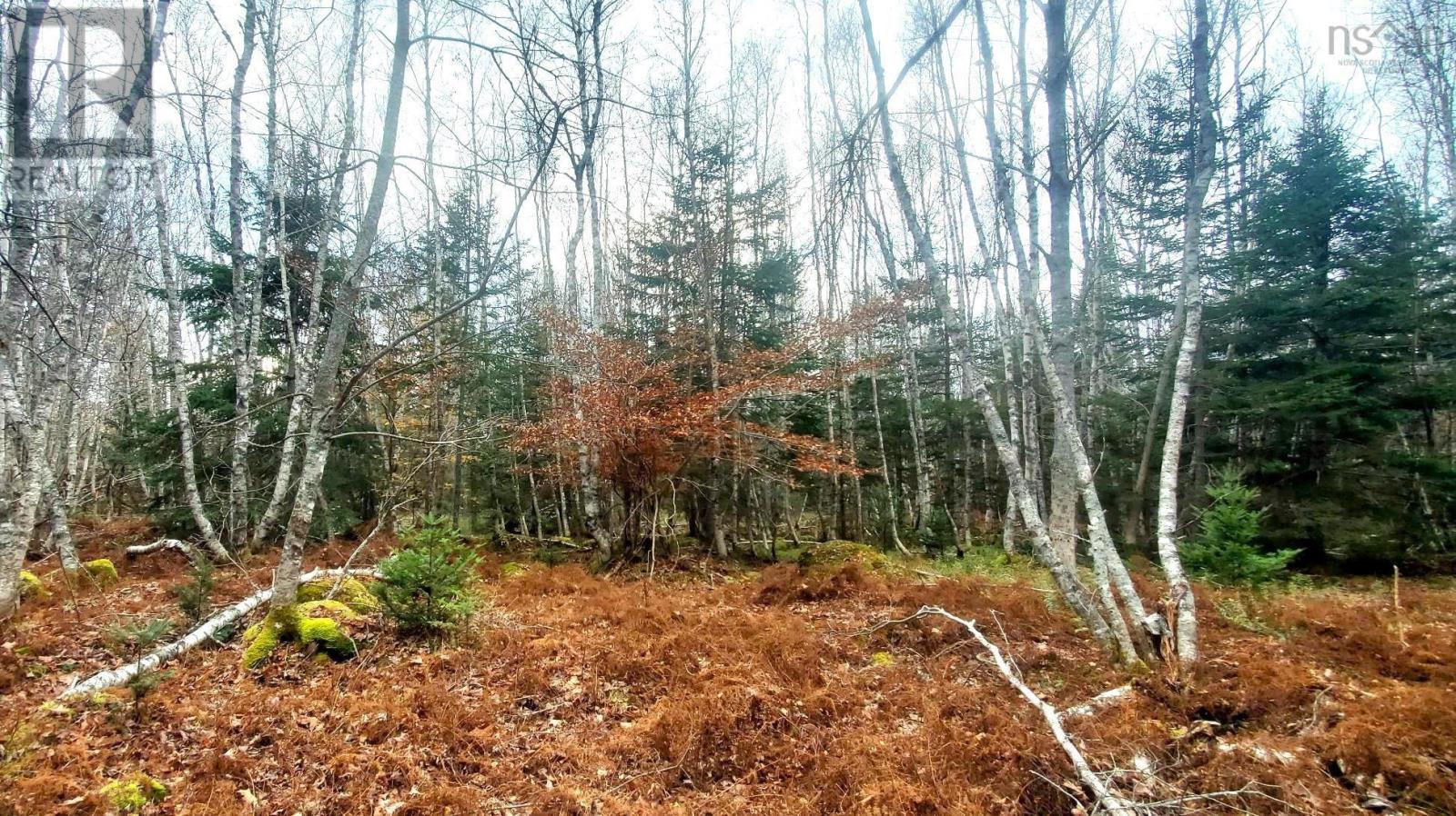 Lot Cornwall Road, Upper New Cornwall, Nova Scotia  B0J 2E0 - Photo 9 - 202402241
