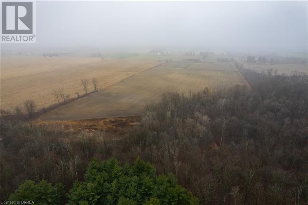 145541 Potters Road, Tillsonburg, Ontario  N4G 4G7 - Photo 5 - 40537272