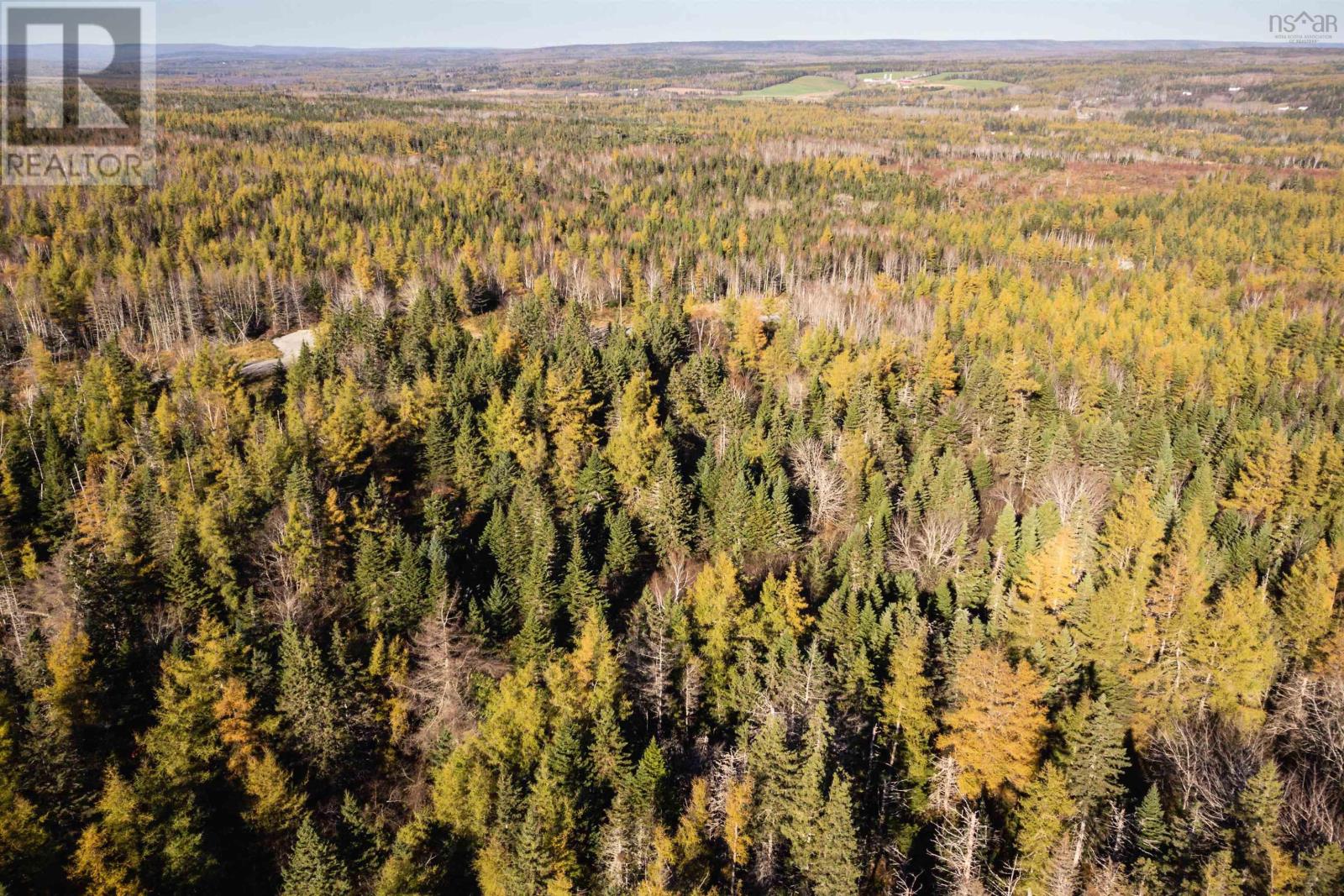 Lot 4 Beaver Ln., Grantville, Nova Scotia  B0E 1J0 - Photo 5 - 202402261