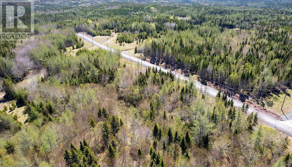 Lot 4 Beaver Ln., Grantville, Nova Scotia  B0E 1J0 - Photo 8 - 202402261