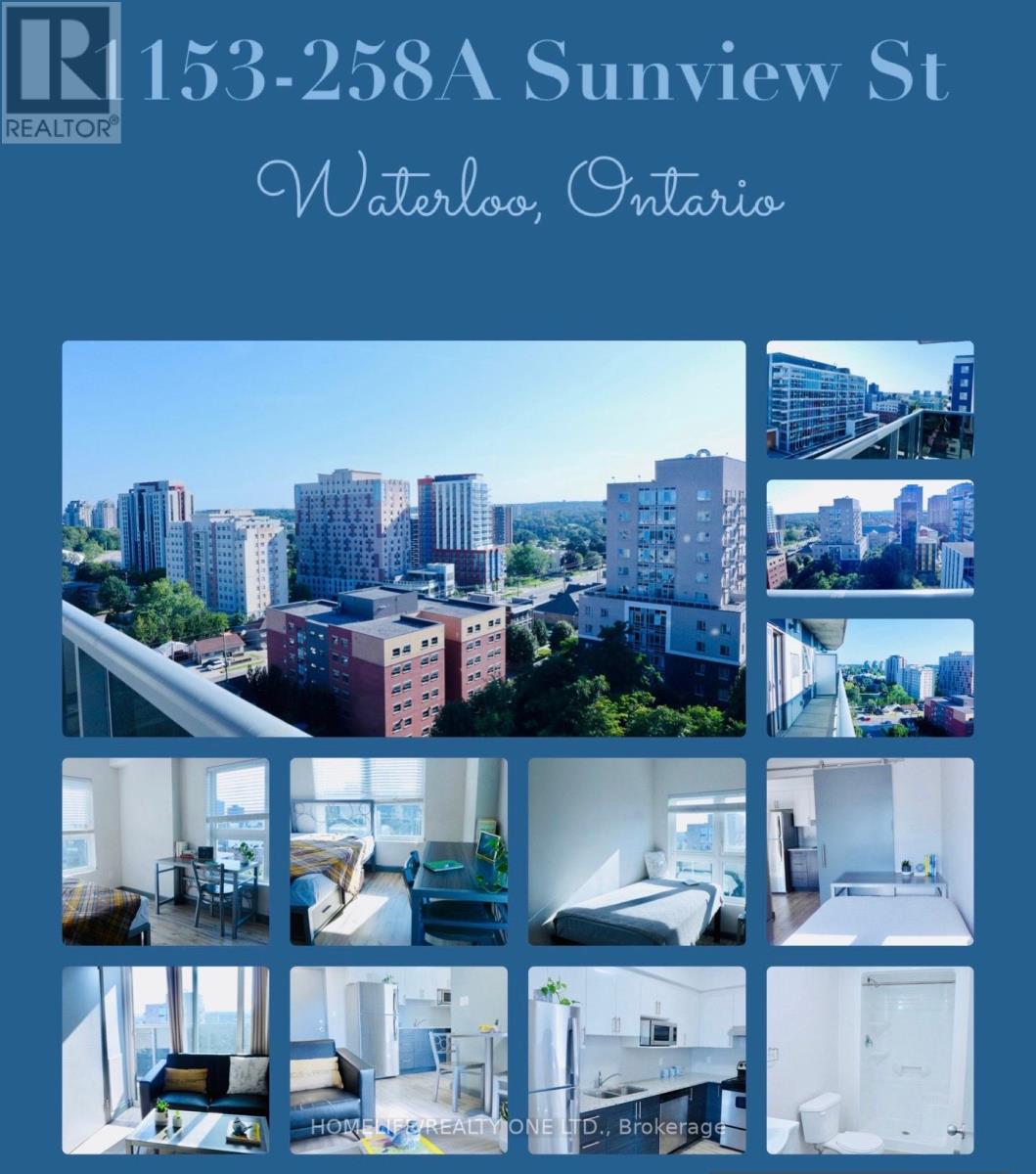 #1153 -258A SUNVIEW ST, waterloo, Ontario