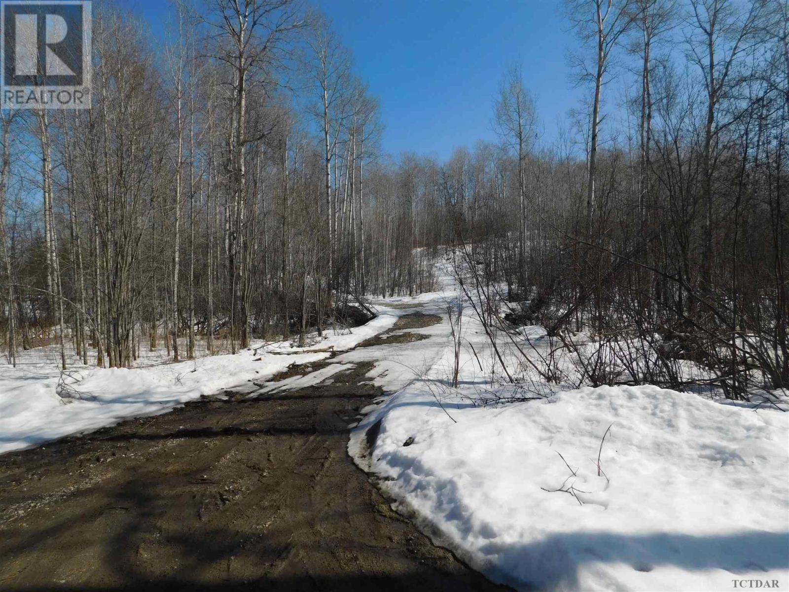 Lot 211-218 Farrah Ave, Charlton-Dack, Ontario  P0J 1B0 - Photo 3 - TM240228
