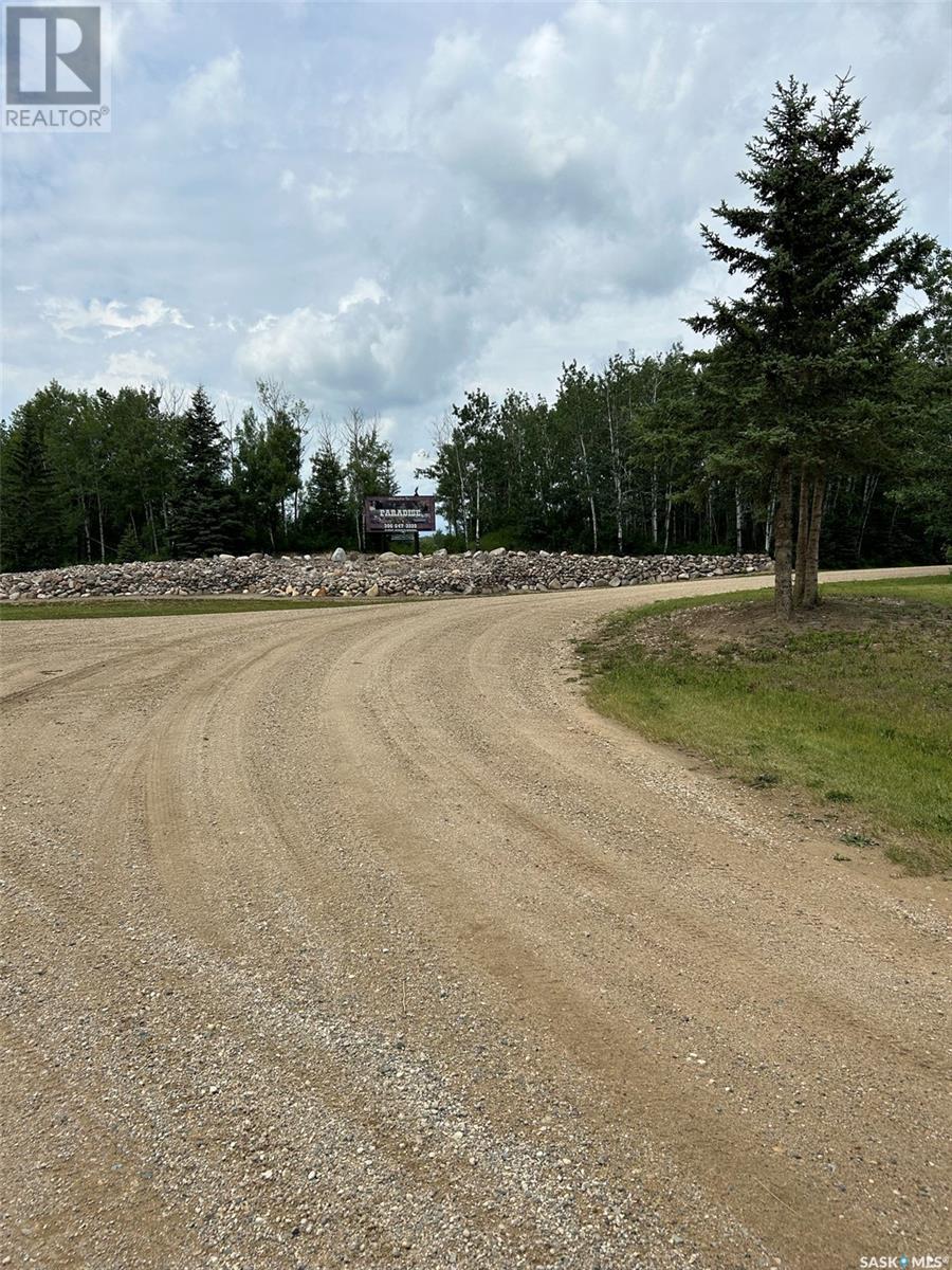 Paradis-Cunningham Quarter, Lintlaw, Saskatchewan  S0A 2H0 - Photo 2 - SK958432