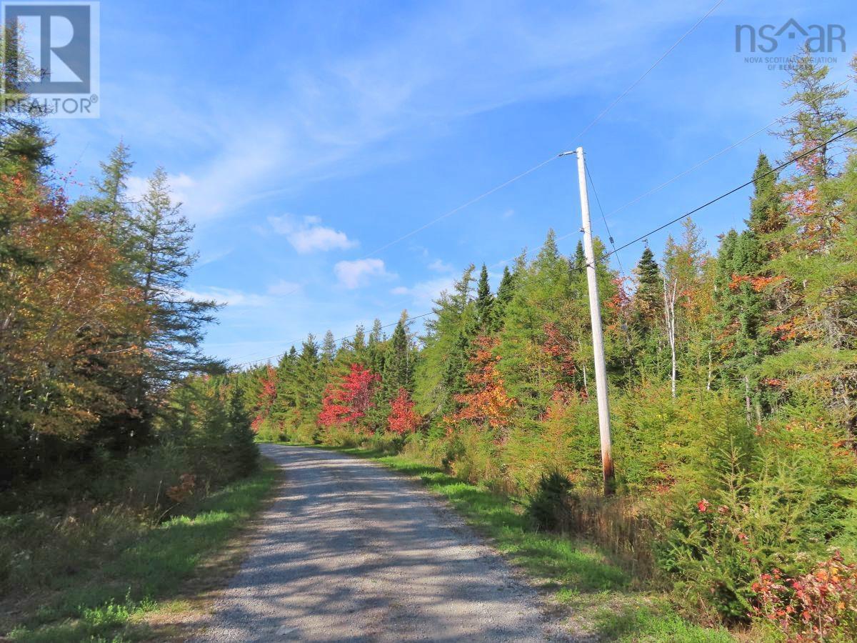Lot 6 Tranquil Shore Road, West Bay Marshes, Nova Scotia  B0E 3K0 - Photo 4 - 202402283