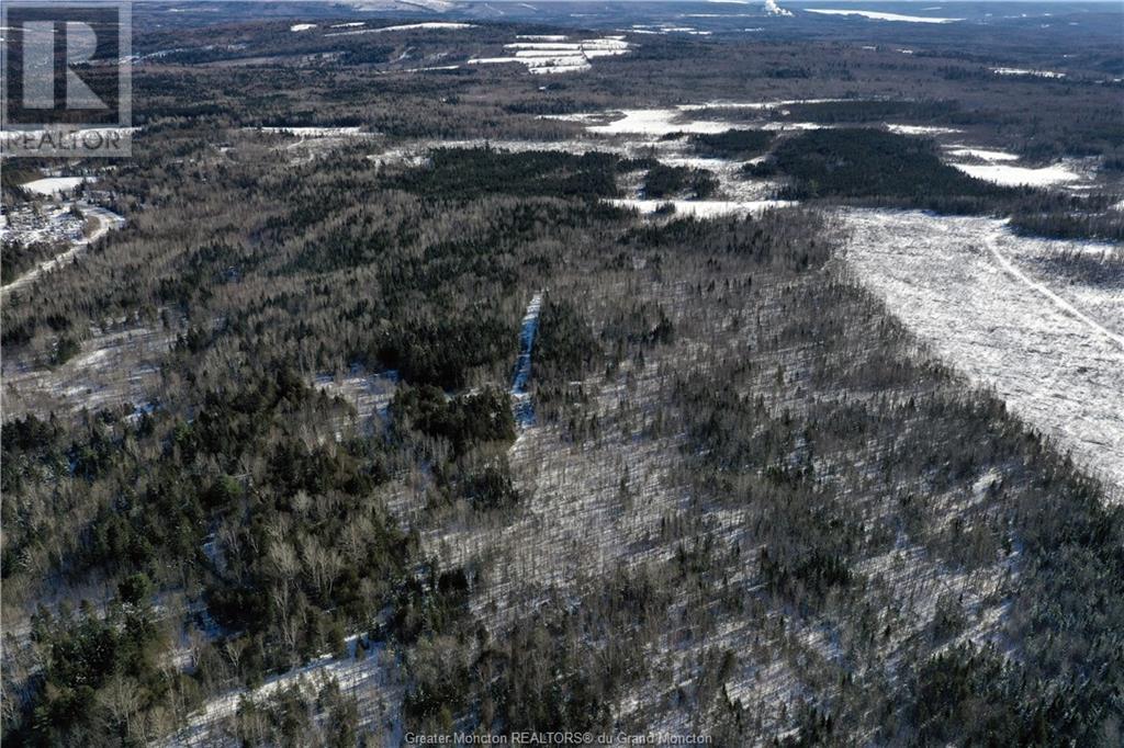 Lot Route 595, Nackawic, New Brunswick  E6G 2H8 - Photo 9 - M157227