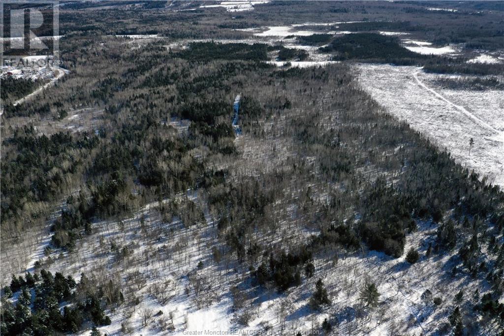 Lot Route 595, Nackawic, New Brunswick  E6G 2H8 - Photo 8 - M157227