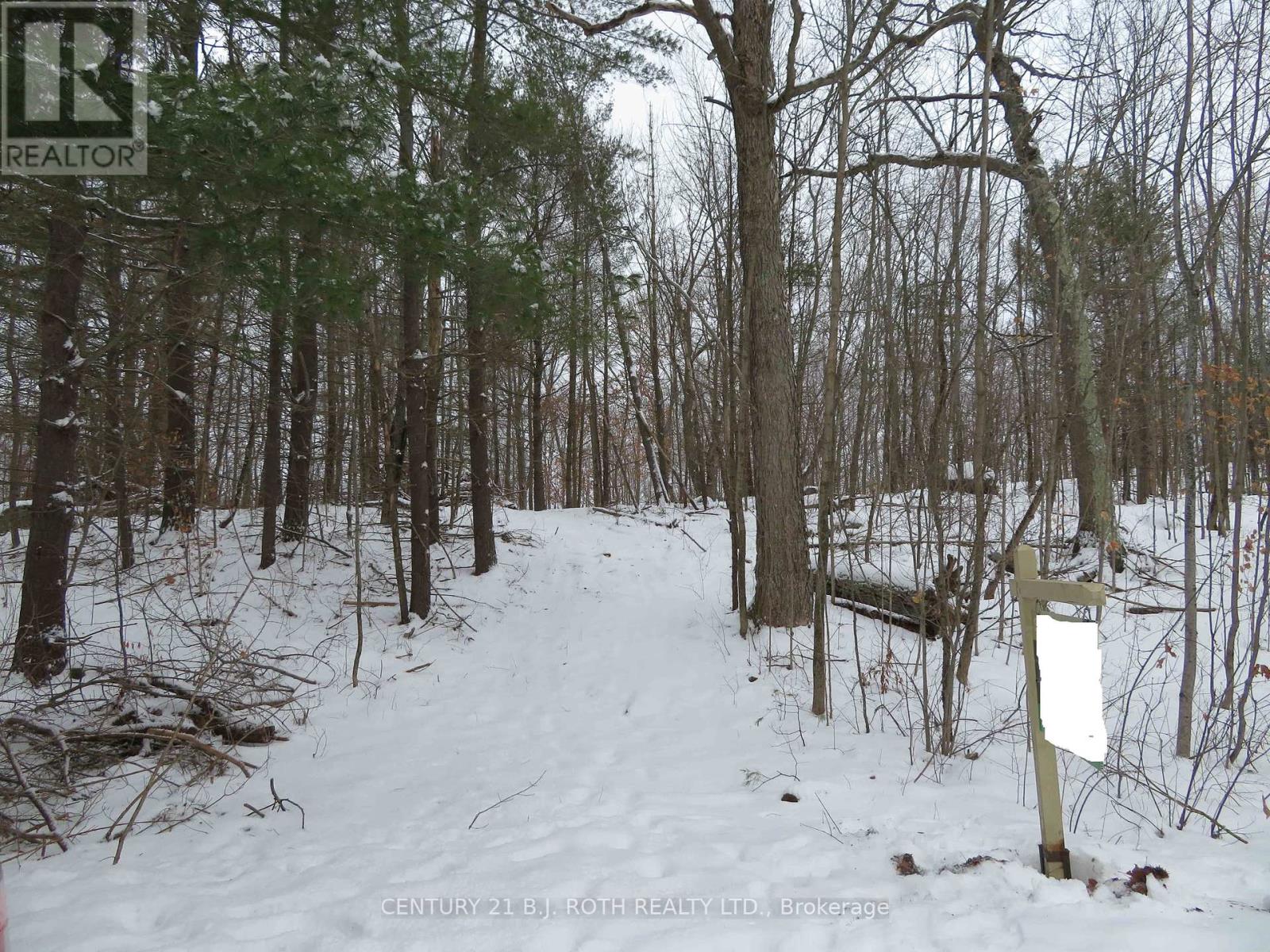 460 Musquash Road, Gravenhurst, Ontario  P1P 1R2 - Photo 13 - X8049624