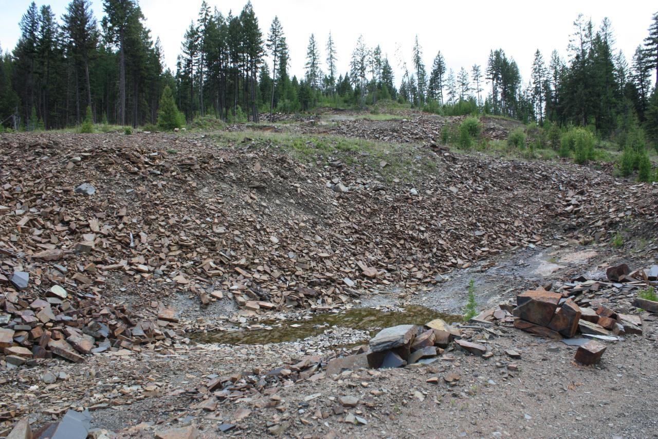 Ml 1027410 Fassifern Fs Road, Cranbrook Periphery, British Columbia  V1C 6T3 - Photo 17 - 2474837