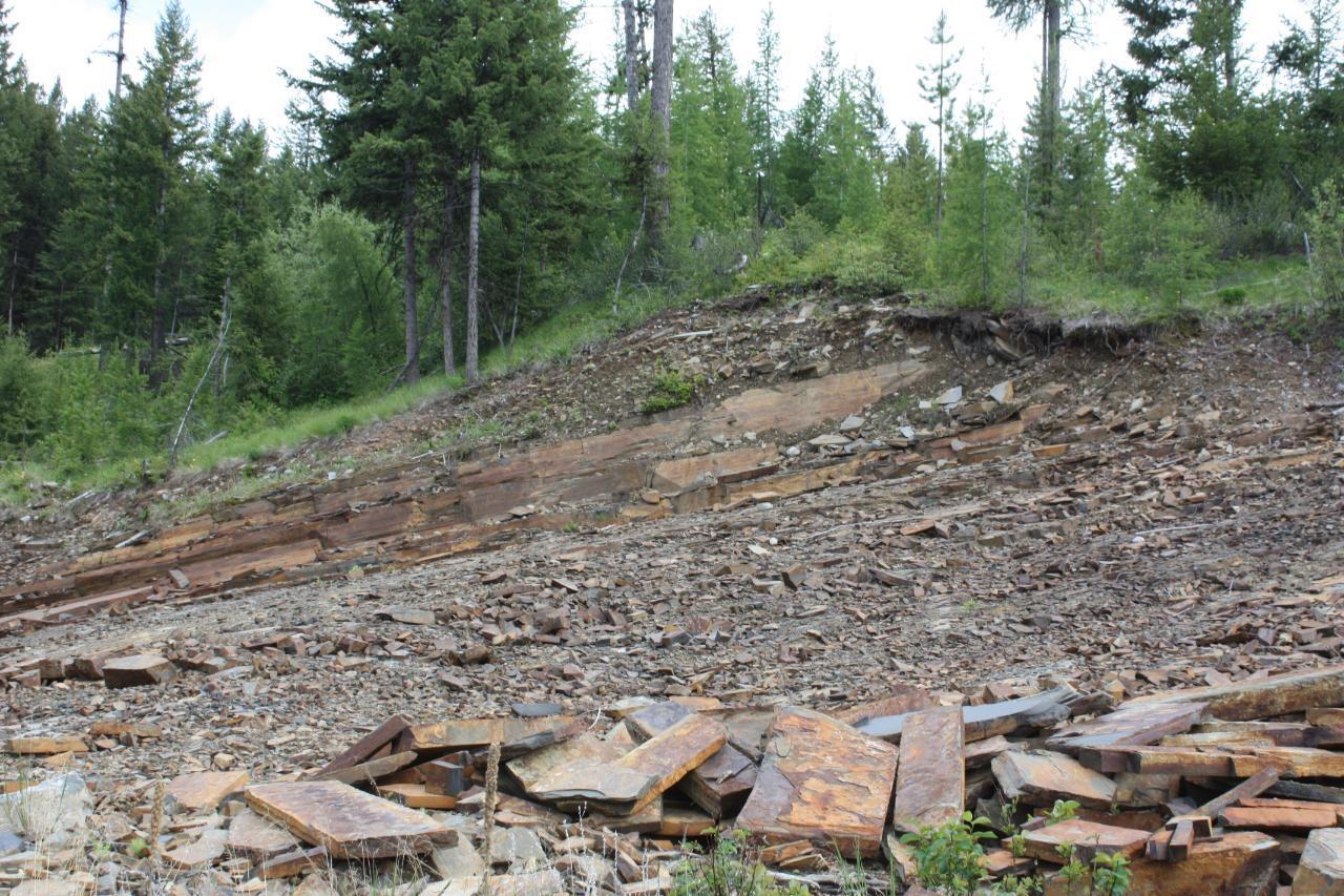 Ml 1027410 Fassifern Fs Road, Cranbrook Periphery, British Columbia  V1C 6T3 - Photo 22 - 2474837