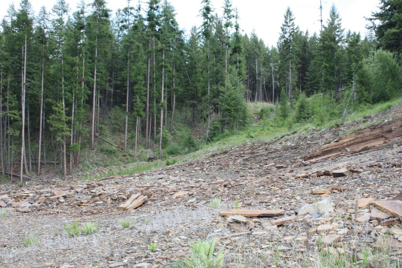 Ml 1027410 Fassifern Fs Road, Cranbrook Periphery, British Columbia  V1C 6T3 - Photo 23 - 2474837