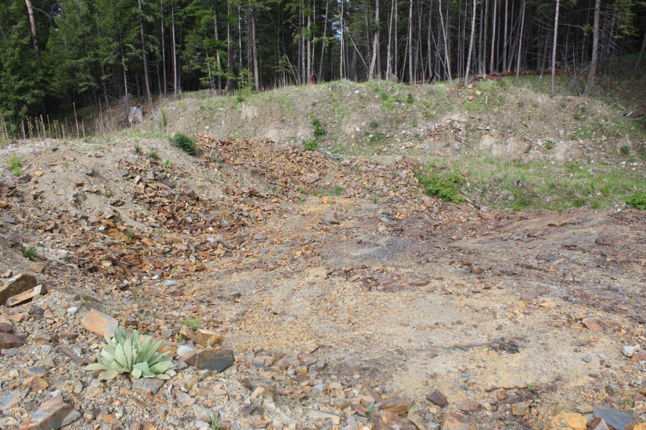 Ml 1027410 Fassifern Fs Road, Cranbrook Periphery, British Columbia  V1C 6T3 - Photo 25 - 2474837