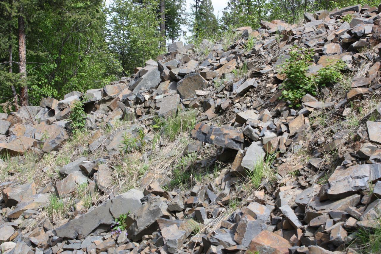 Ml 1027410 Fassifern Fs Road, Cranbrook Periphery, British Columbia  V1C 6T3 - Photo 6 - 2474837