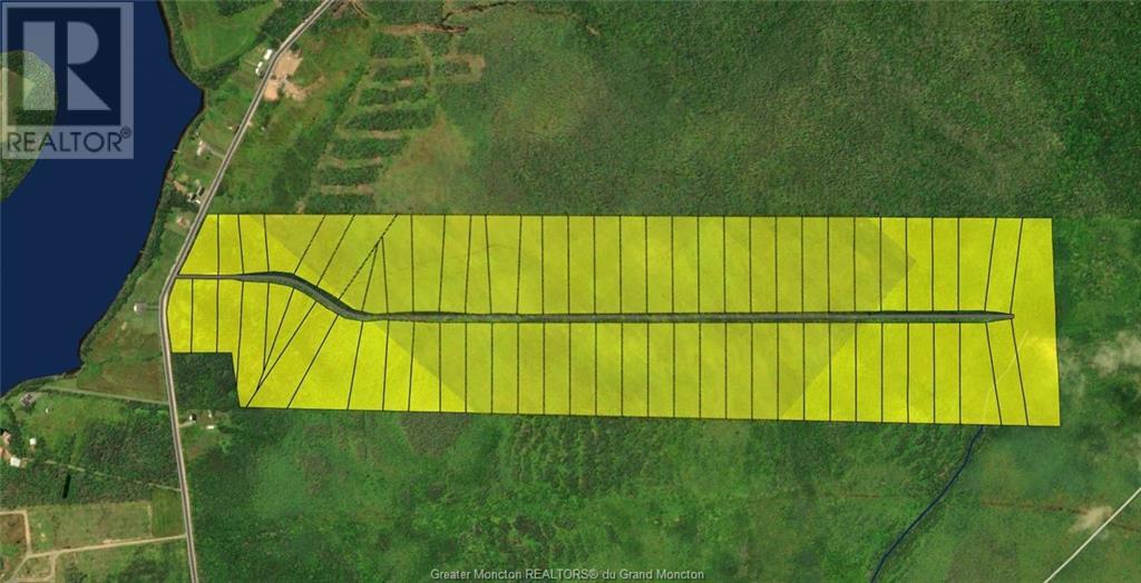 Lot North Black River Rd, Miramichi, New Brunswick  E1N 5T3 - Photo 7 - M157240