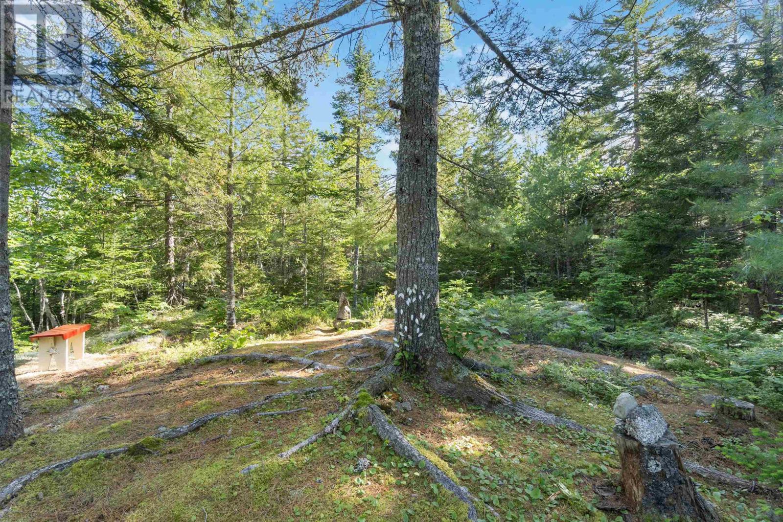 38 Owl Pass, Vaughan, Nova Scotia  B0N 2T0 - Photo 31 - 202402316