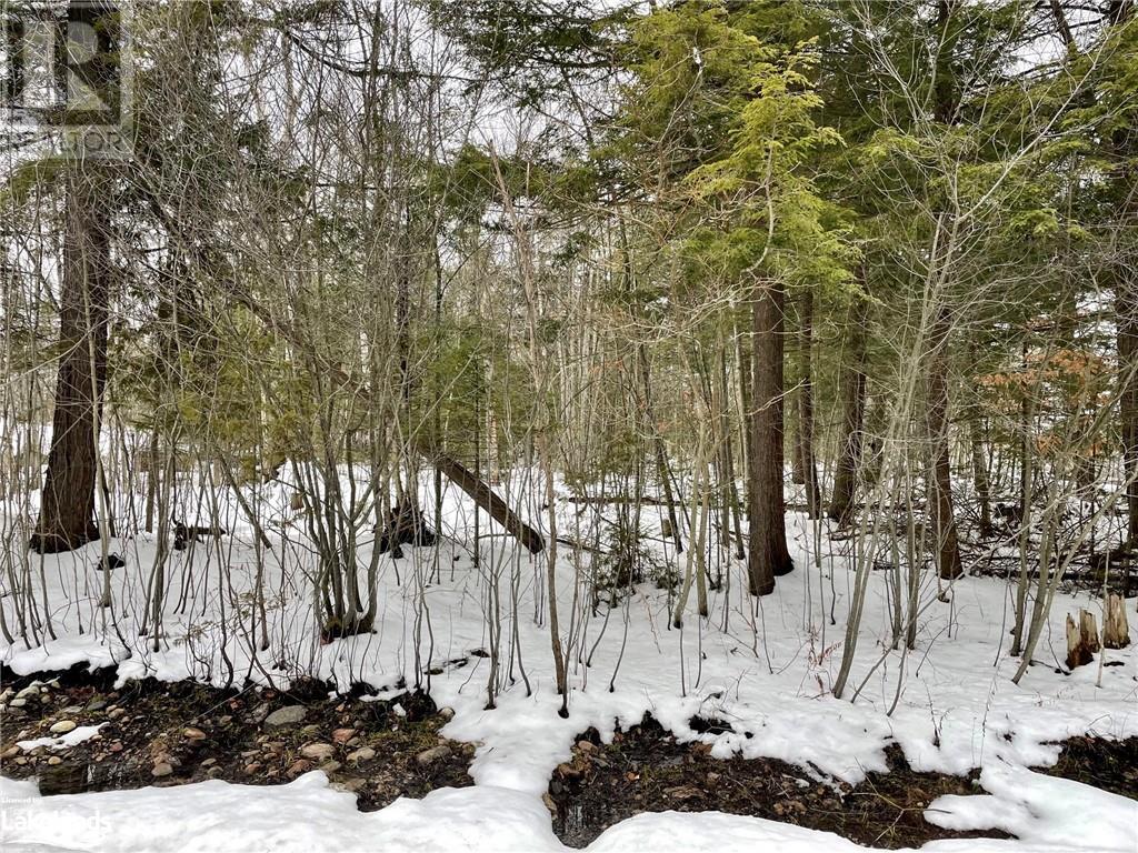 Lot 454 Seguin Crescent, Tiny, Ontario  L9M 0C9 - Photo 4 - 40535933