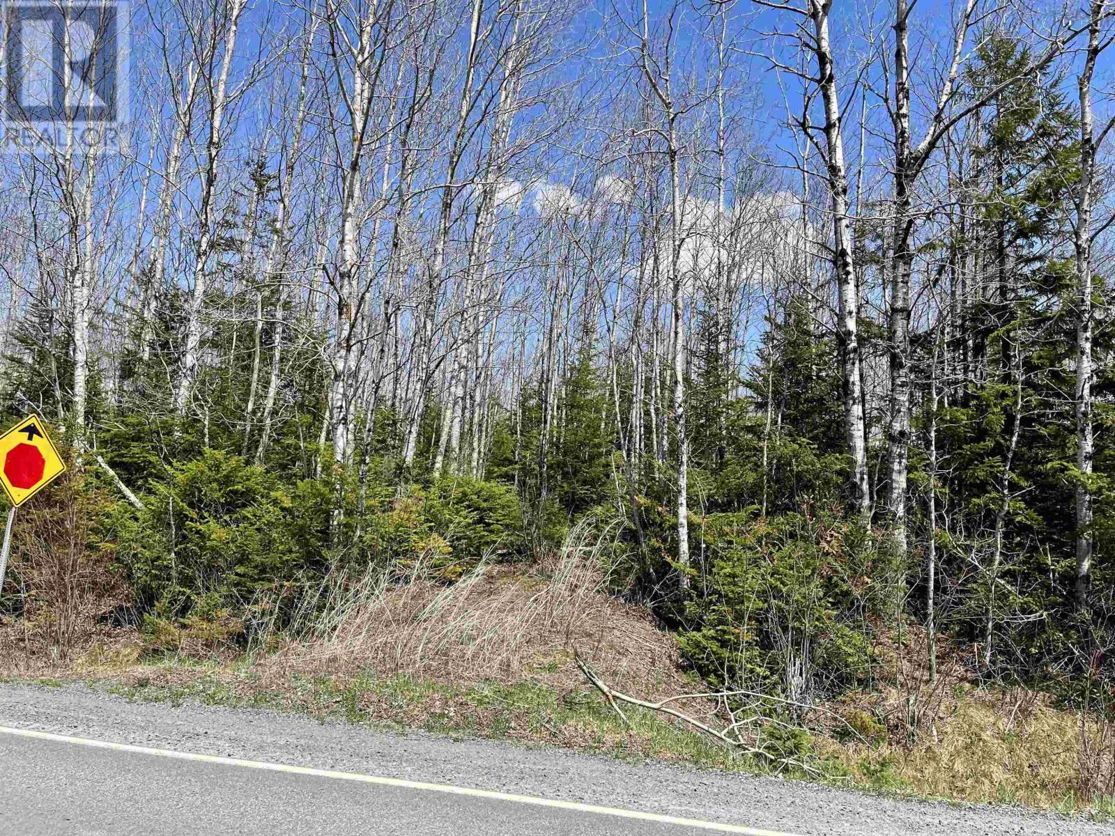 Lot Rock Road, Maple Grove, Nova Scotia  B0N 1T0 - Photo 2 - 202309669