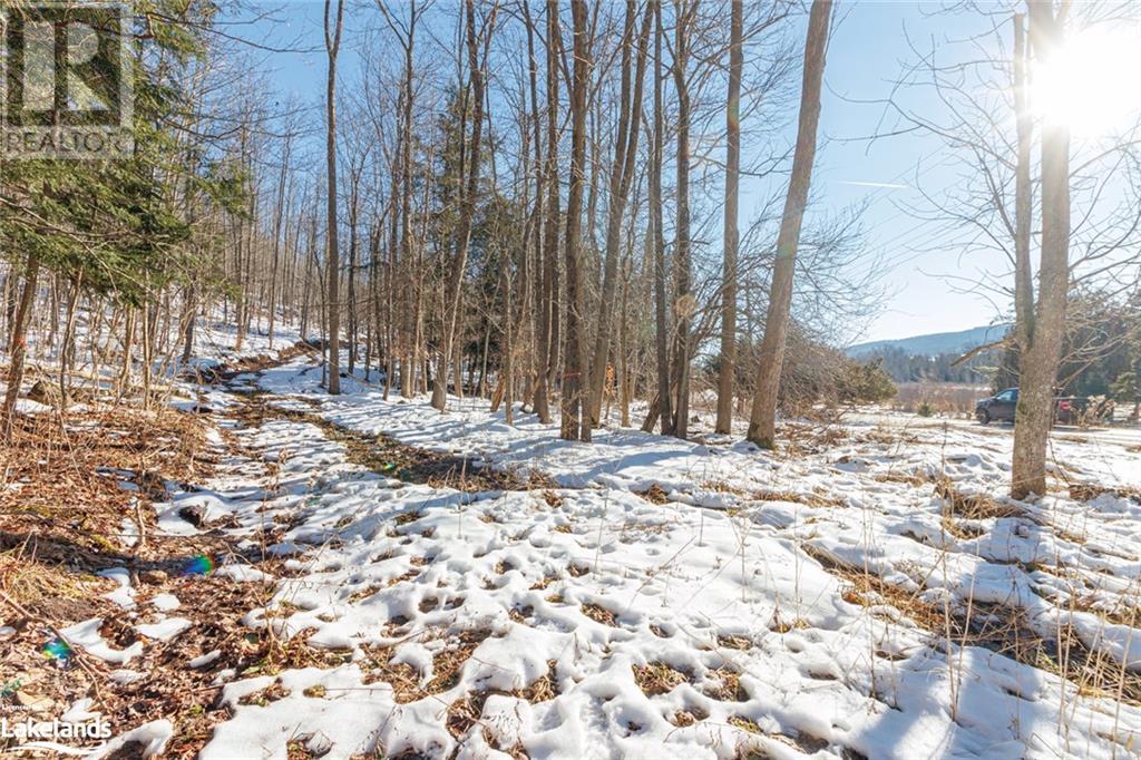 Part Lot 25 Grey Road 30, Grey Highlands, Ontario  N0C 1H0 - Photo 16 - 40534440